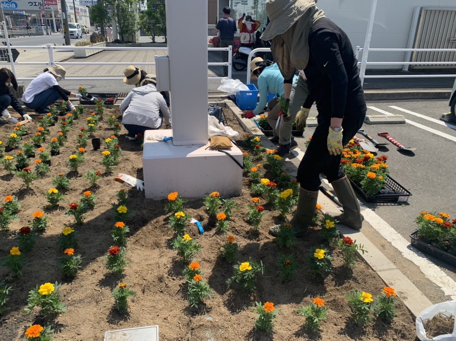 和歌山市地区エリア委員会　コープ中之島店花壇のボランティア